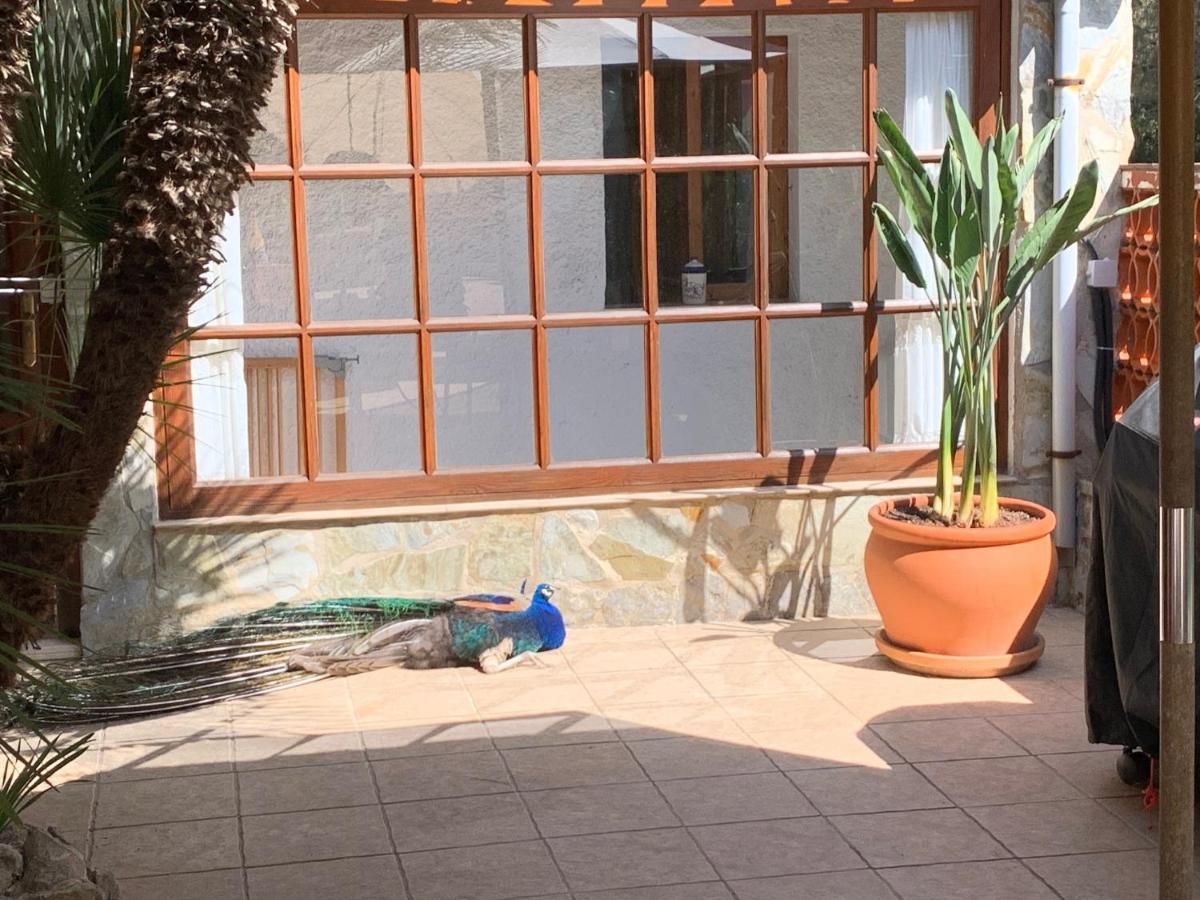 Casa Lisboa Vakantiehuis